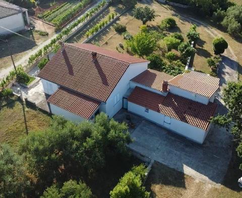 Fantastic estate in Peruški, Marčana, for sale - pic 19