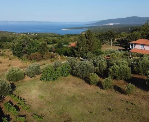 Fantastique domaine à Peruški, Marcana, à vendre - pic 26