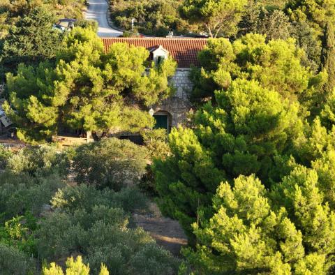 Egyedülálló vízparti kastély Sibenik környékén, hozzáféréssel a mólóhoz és a strandhoz - pic 26