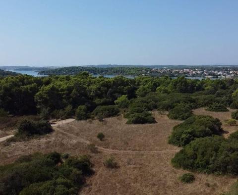 Építési telek apartmanok vagy nyaraló villa számára Banjole-ban - pic 2