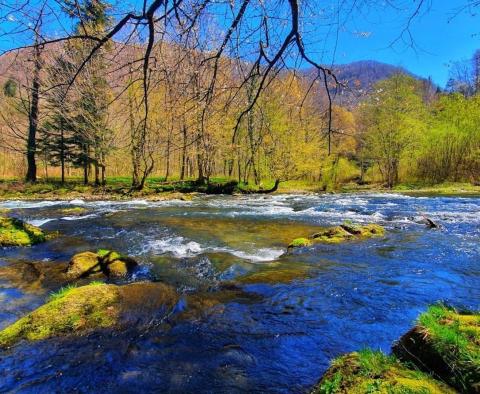 Městský pozemek Brod na Kupi, Delnice, 1 ha 