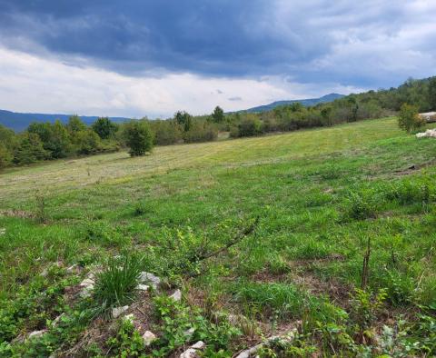 Construction + agri land in Motovun, for sale - pic 2