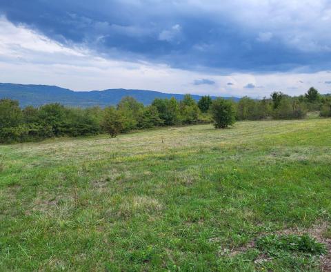 Baugrundstück + Ackerland in Motovun, zu verkaufen - foto 4