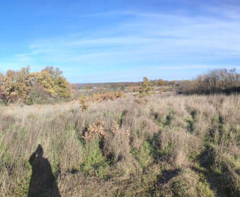 Terrain spacieux d'environ 1 hectare dans la région de Marcana, à vendre 