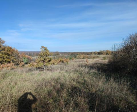 Terrain spacieux d'environ 1 hectare dans la région de Marcana, à vendre - pic 3