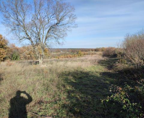 Terrain spacieux d'environ 1 hectare dans la région de Marcana, à vendre - pic 6