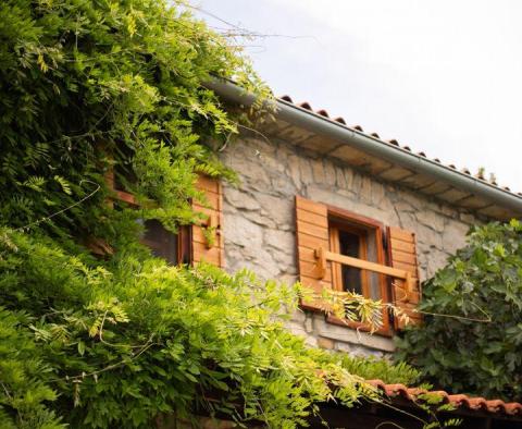 Ein autochthones istrisches Steinhaus in Lupoglav, zu verkaufen - foto 57