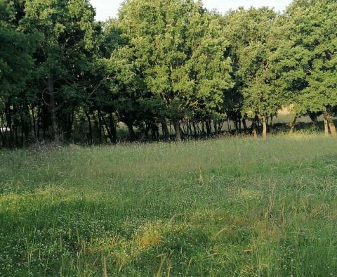 Grundstück in Medulin, 300 Meter vom Meer entfernt, zu verkaufen 