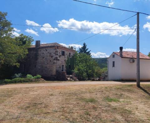 Deux maisons à Oprtalj, à vendre - pic 4