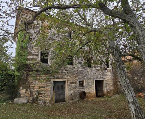 Deux maisons à Oprtalj, à vendre - pic 31