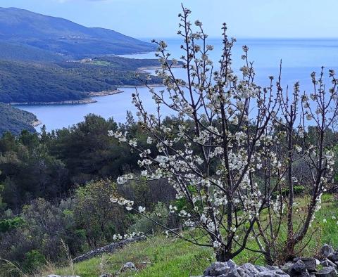 Jedinečný urbanizovaný pozemek s výhledem na moře, v oblasti Rabac, na prodej - pic 2