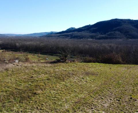 Stavební pozemek 1970 m2 s výhledem na Motovun, nebo prodej - pic 4