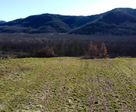 Stavební pozemek 1970 m2 s výhledem na Motovun, nebo prodej - pic 5