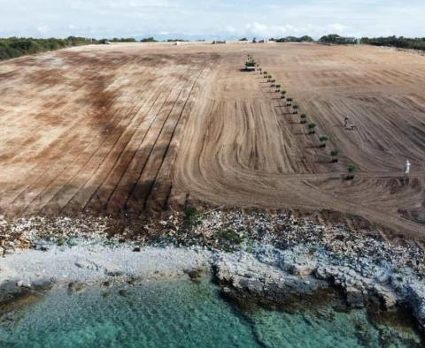 Großartiges Anwesen in erster Linie auf der Halbinsel Peljesac - foto 3