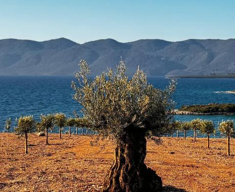 Großartiges Anwesen in erster Linie auf der Halbinsel Peljesac - foto 5