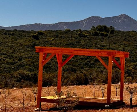 Nagy 1. vonalú birtok a Peljesac-félszigeten - pic 6