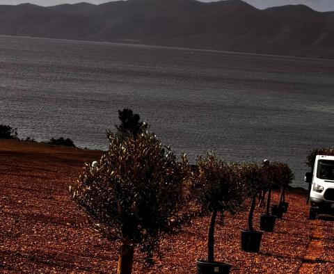 Großartiges Anwesen in erster Linie auf der Halbinsel Peljesac - foto 8