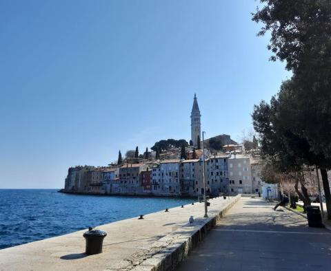 Apartment in a new building with a garden within walking distance of the beach in Rovinj 