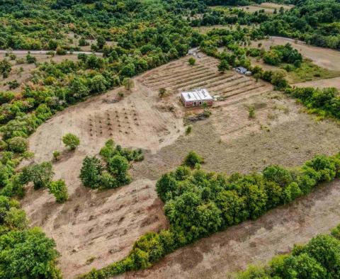 Piękna posiadłość o powierzchni 14000 m2 w Barbanie, na sprzedaż! 