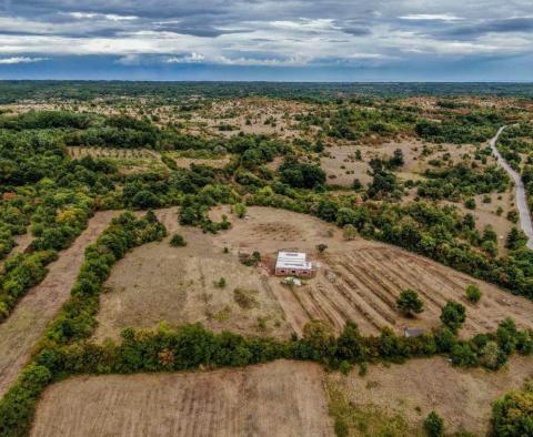 Piękna posiadłość o powierzchni 14000 m2 w Barbanie, na sprzedaż! - pic 3