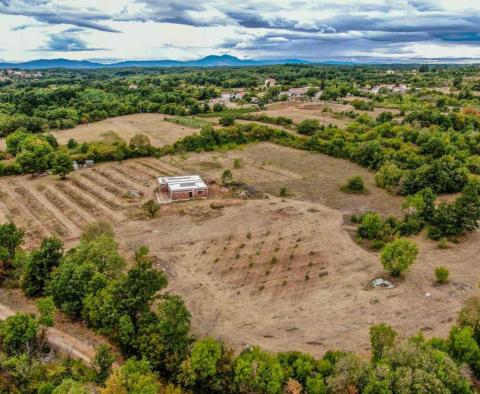 Piękna posiadłość o powierzchni 14000 m2 w Barbanie, na sprzedaż! - pic 8