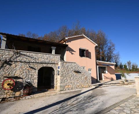 Maison en pierre avec taverne dans la nature à Pazin 