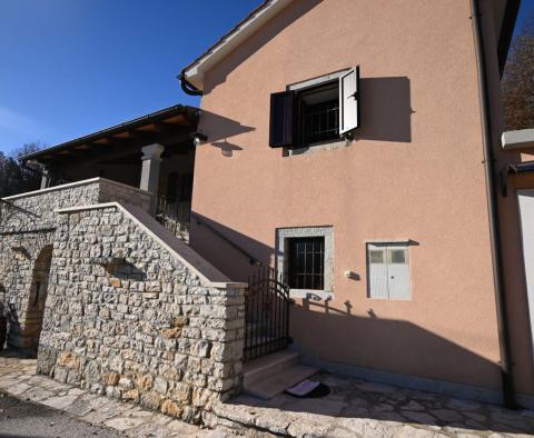 Maison en pierre avec taverne dans la nature à Pazin - pic 6