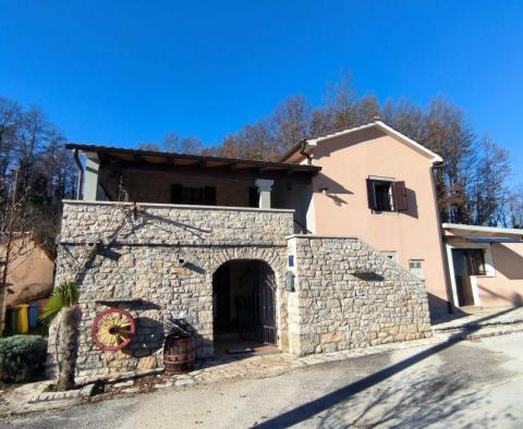 Maison en pierre avec taverne dans la nature à Pazin - pic 7