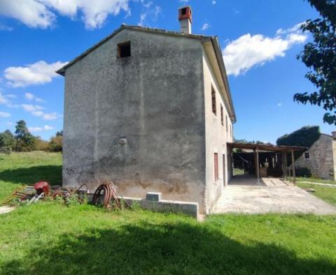 Estate of 9300 sq.m. with two houses for renovation in Svetvinčenat - pic 3