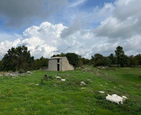 Domaine de 9300 m². avec deux maisons à rénover à Svetvinčenat - pic 8