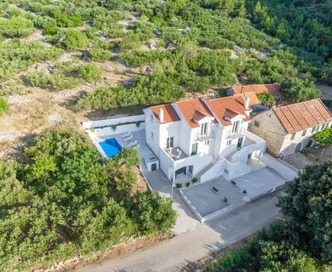 Wunderschöne Villa mit Pool in Zivogosce, Makarska Riviera, zu verkaufen - foto 8