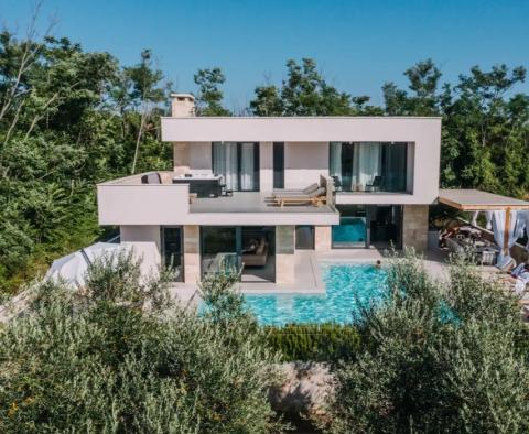 Villa dans la région de Zadar, à 800 m de la mer, à vendre - pic 2