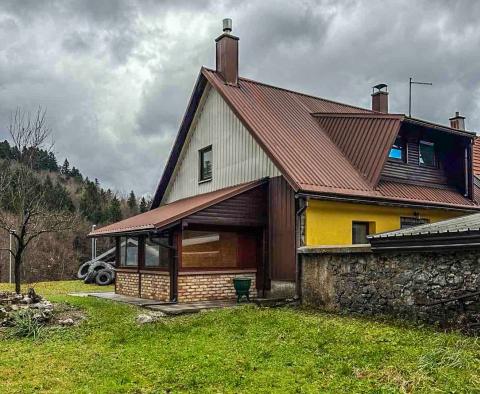 Haus mit 2 Wohnungen in Delnice, zu verkaufen 