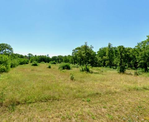 Сombined land with three building permits in Buje, for sale - pic 5