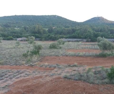 Zemědělská půda o rozloze více než 1,5 hektaru v oblasti Vodice, velký potenciál - pic 3