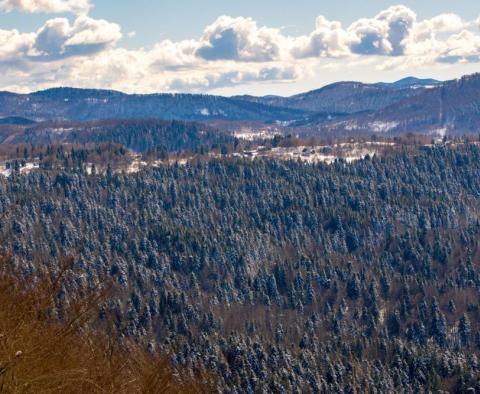 Exkluzivní dřevěná vila v Ravna Gora na 3893 m2. ze země - pic 4