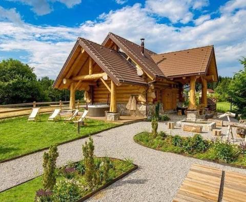 Villa en bois exclusive à Ravna Gora sur 3893 m². de terre - pic 30