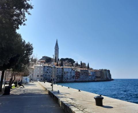 Tágas birtok Rovinj környékén, sétatávolságra a tengertől, 11000 nm-en. földből - pic 12