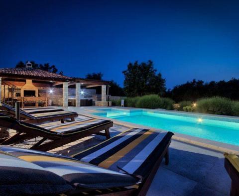 Beautiful villa with pool and garden of 2000m2 in Svetvincenat - pic 9