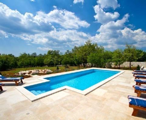 Beautiful villa with pool and garden of 2000m2 in Svetvincenat - pic 4