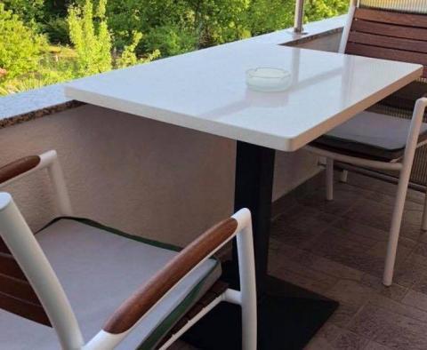 Pronájem více bytů s 8 apartmány v Oprić, Opatija - pic 66