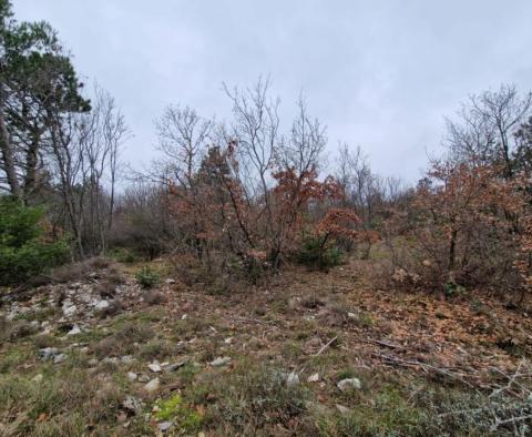 Agroland in Labin sind ca. 2 Hektar - foto 7