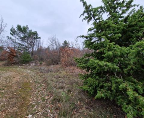 Agro land in Labin are, cca.2 hectares - pic 8