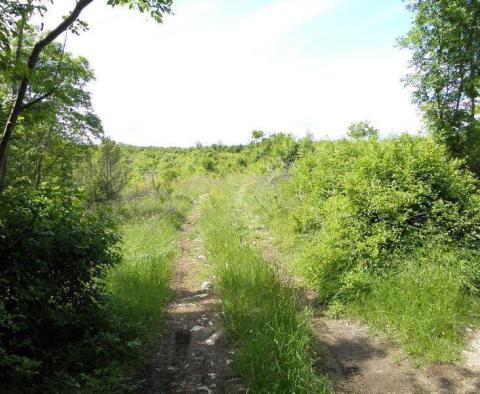 Prostorný zemědělský + městský pozemek ve Štrmac, Sveta Nedelja, oblast Labin - pic 7