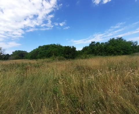 Land for sale of T2 purpose in Savudrija, Umag, 11.677m2 just 200m from the sea! - pic 2