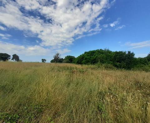 Land for sale of T2 purpose in Savudrija, Umag, 11.677m2 just 200m from the sea! - pic 3