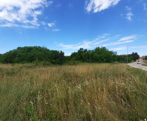 Land for sale of T2 purpose in Savudrija, Umag, 11.677m2 just 200m from the sea! - pic 4