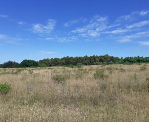 Land for sale of T2 purpose in Savudrija, Umag, 11.677m2 just 200m from the sea! - pic 5