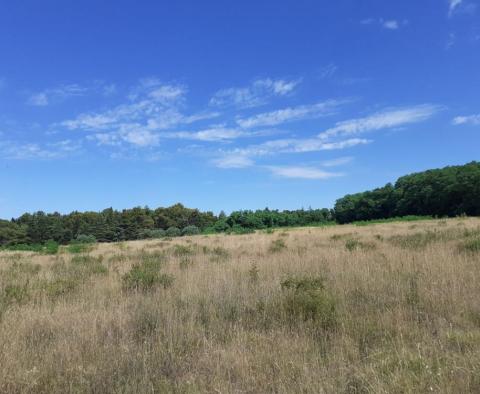 Land for sale of T2 purpose in Savudrija, Umag, 11.677m2 just 200m from the sea! - pic 6