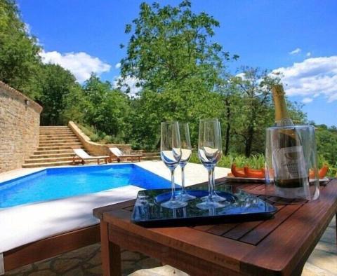 Two stone houses with swimming pool and a view of Motovun in Oprtalj - pic 3